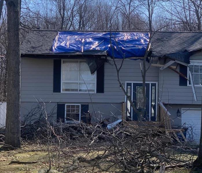 uprooted tree on house with roof tarp