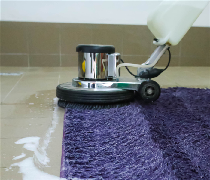 shampoo carpet cleaning