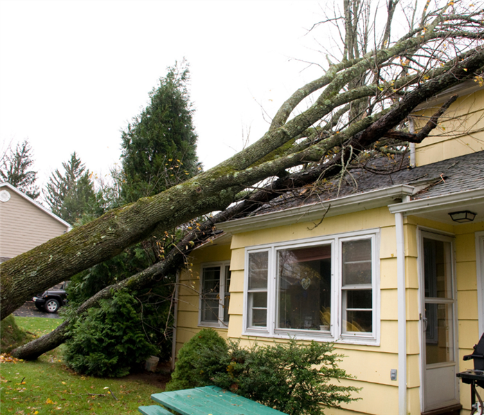 Picture is of a tree that fell on a yellow house